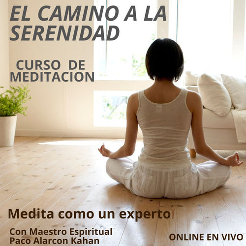 EL CAMINO A LA SERENIDAD: CURSO DE MEDITACION PARA MEDITAR COMO UN EXPERTO  Con Paco Alarcon Kahan  Inscripcion una sesion